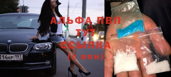 PSILOCYBIN Заводоуковск