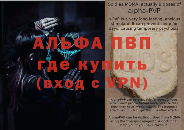 PSILOCYBIN Заводоуковск