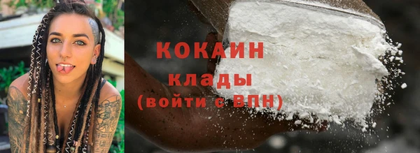 PSILOCYBIN Заводоуковск
