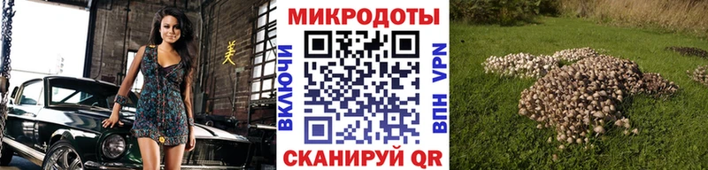 Галлюциногенные грибы GOLDEN TEACHER ОМГ ОМГ как войти Сланцы магазин продажи