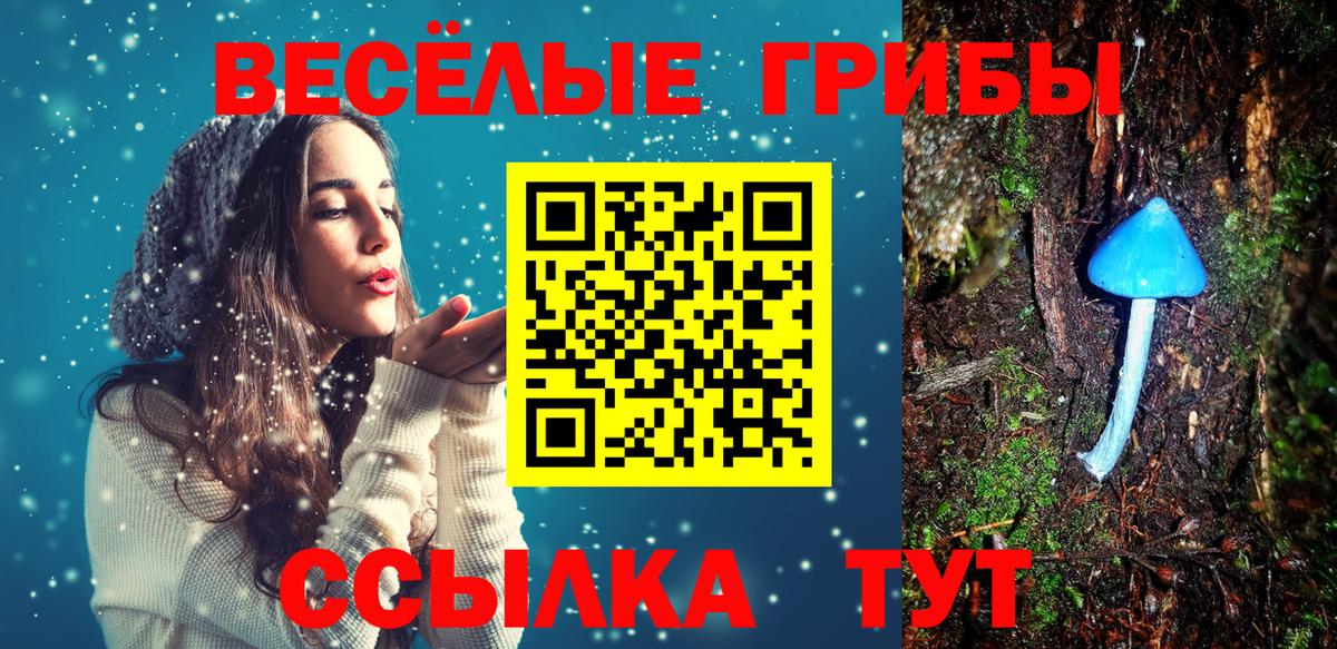 Псилоцибиновые грибы прущие грибы Сланцы